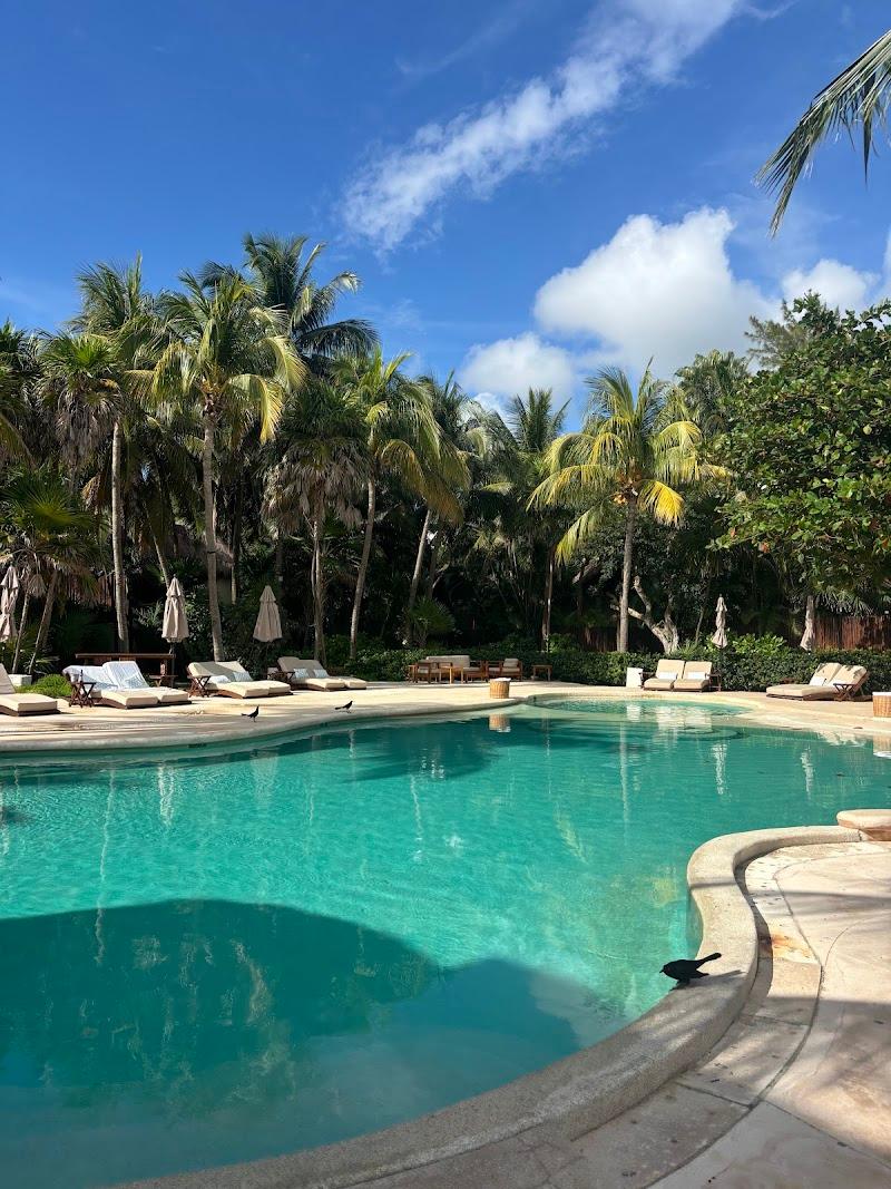 Viceroy Riviera Maya A Luxury Villa Resort thumbnail 3