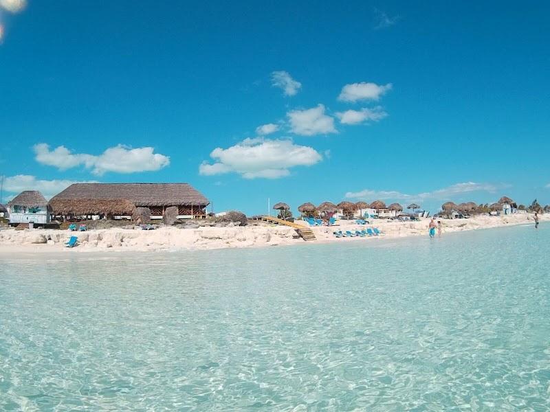 Starfish Cayo Largo thumbnail 5