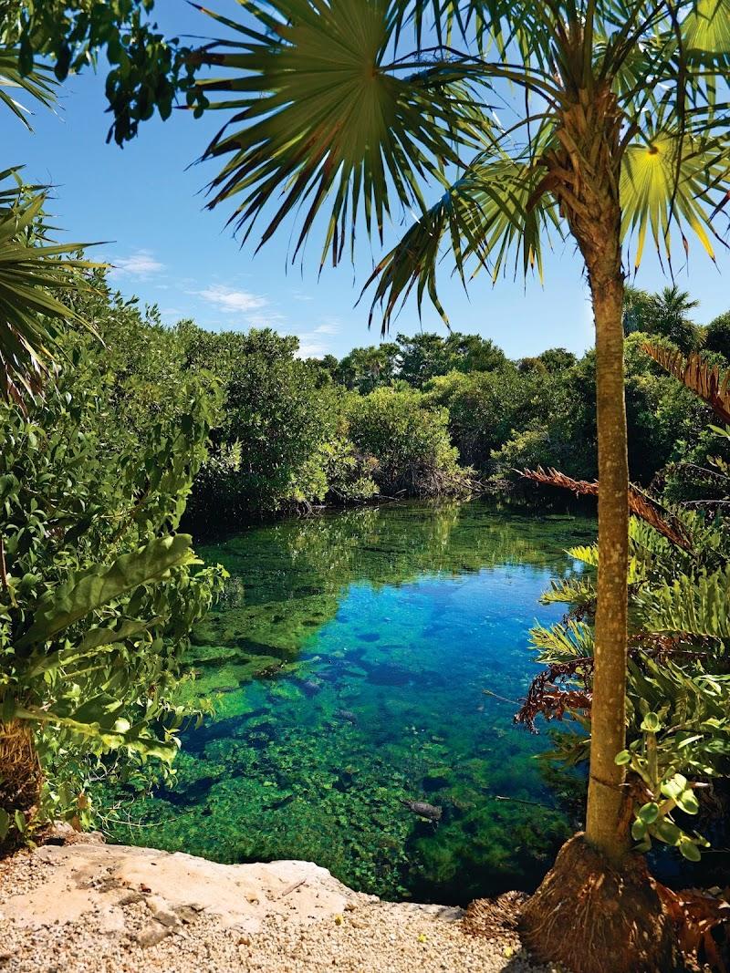 Bel Air Collection Resort & Spa Riviera Maya thumbnail 5
