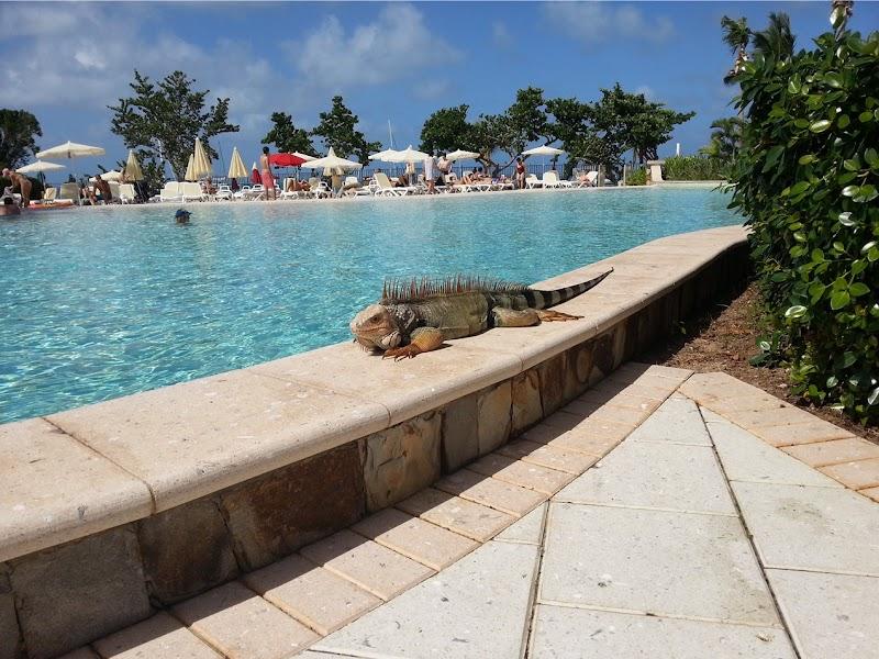 St. Martin Beach Resort & Spa thumbnail 2