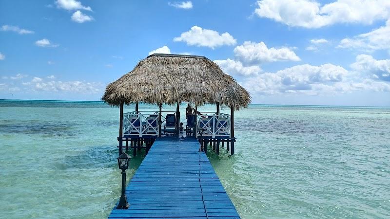 Starfish Cayo Guillermo thumbnail 4