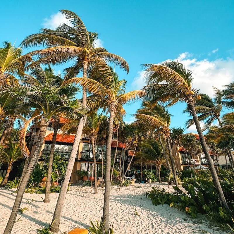 Grand Oasis Tulum Riviera thumbnail 4