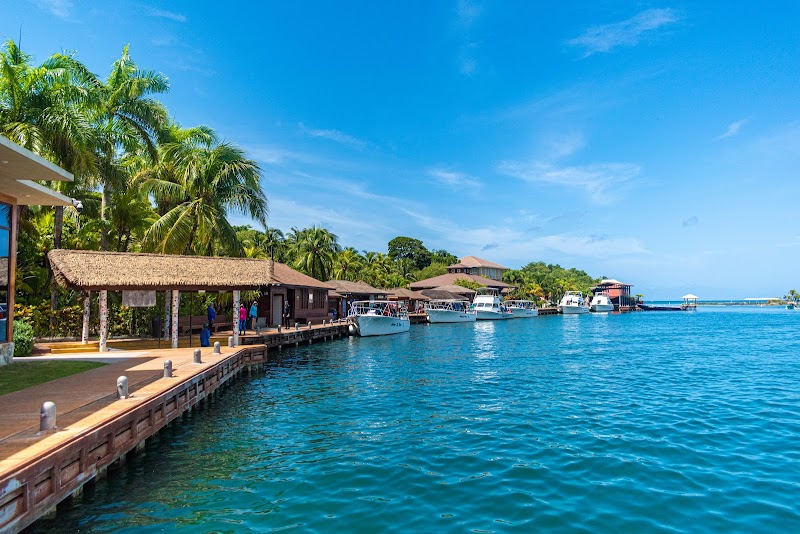 Anthony's Key Resort thumbnail 5