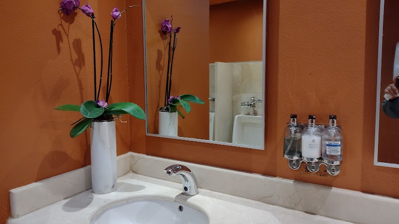 Live Aqua Cancun thumbnail 4