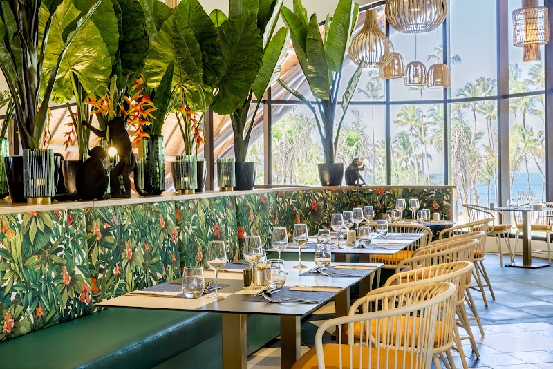 Club Med Miches Playa Esmeralda - Dominican Republic thumbnail 5