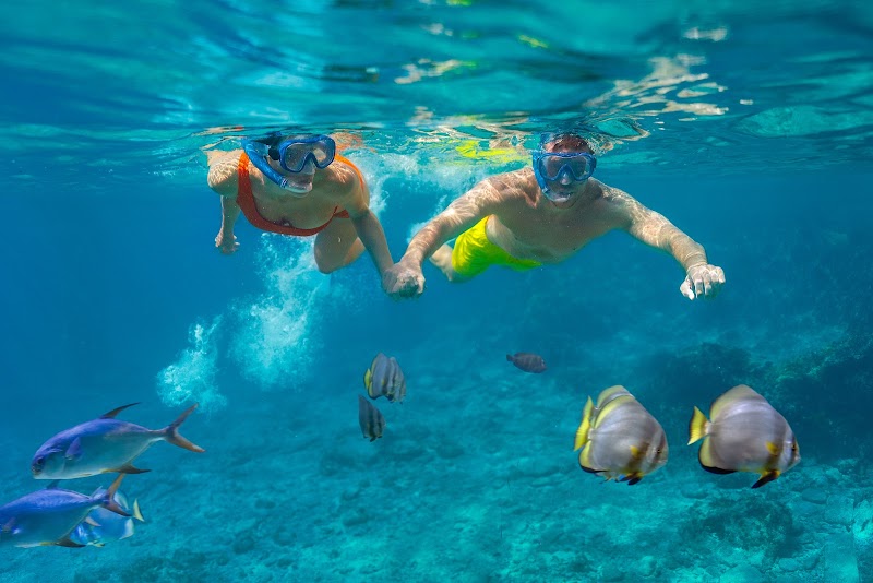 Cozumel Palace thumbnail 5