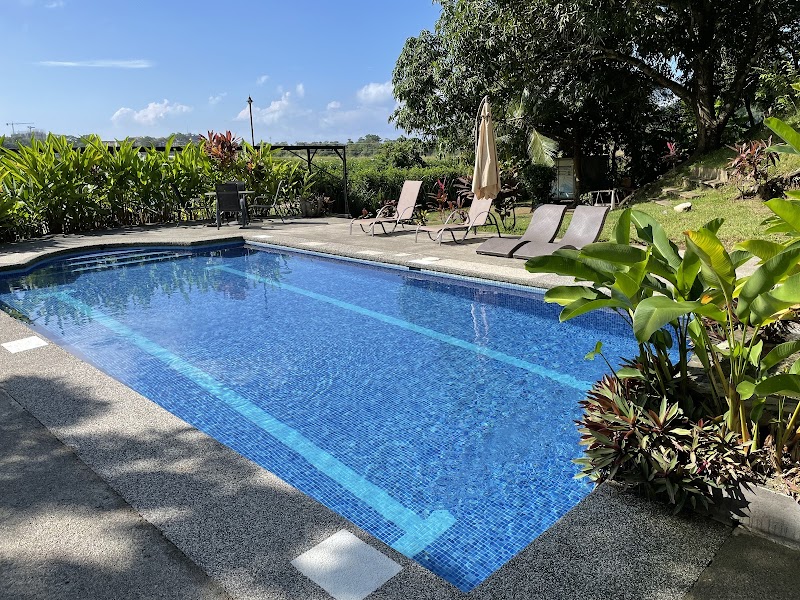 Surf Synergy thumbnail 3