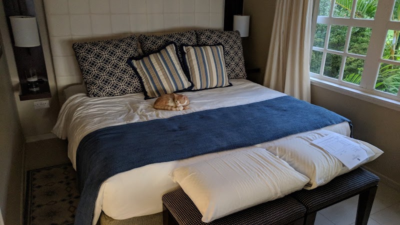 Stolentime St. Lucia thumbnail 2