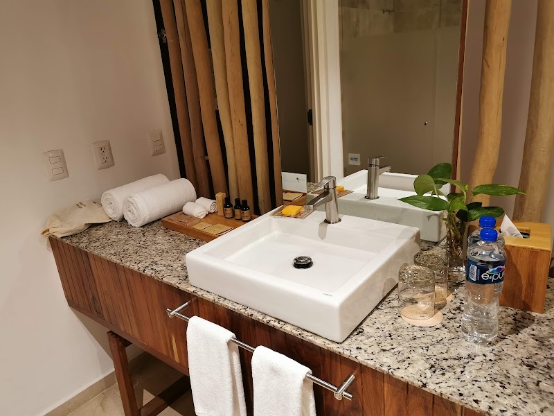 The Explorean Cozumel thumbnail 4