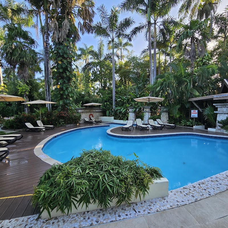 Sunset at the Palms thumbnail 3