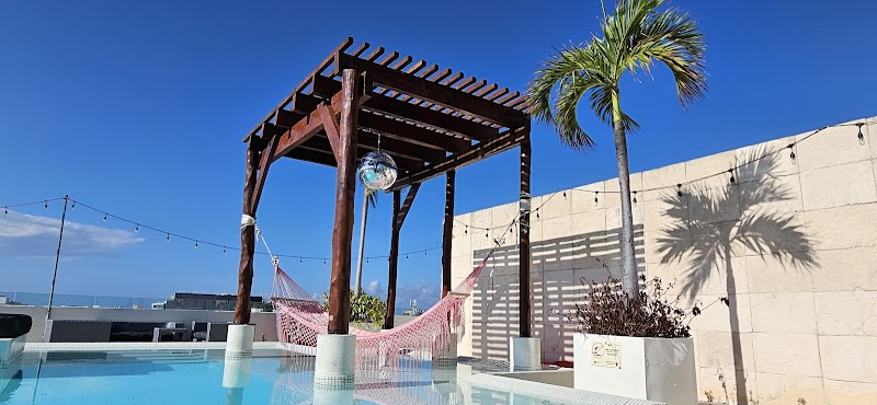 The Palm at Playa thumbnail 3