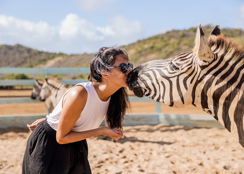 The Aerial BVI - All Inclusive Private Island thumbnail 5