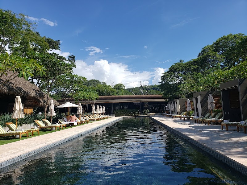 El Mangroove, Autograph Collection thumbnail 3