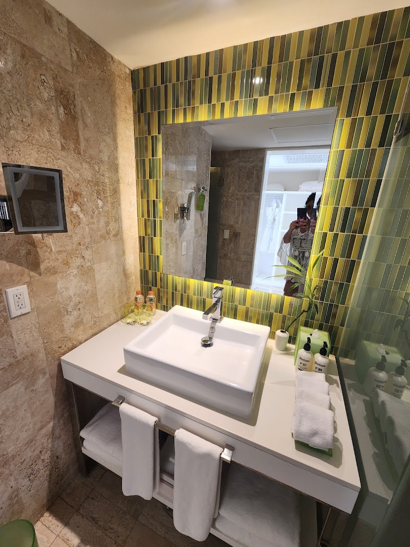 Paradisus Los Cabos - Adults only - The Leading Hotels of the World thumbnail 4