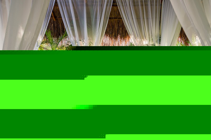 Ocean Riviera Paradise thumbnail 2