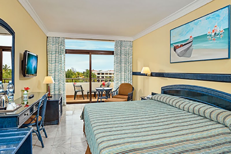 Sol Palmeras thumbnail 2