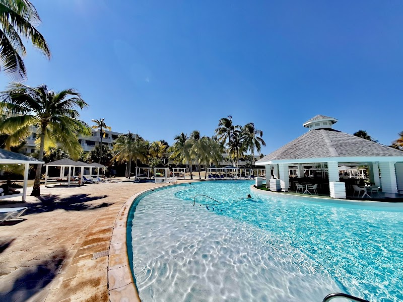 Sol Palmeras thumbnail 3