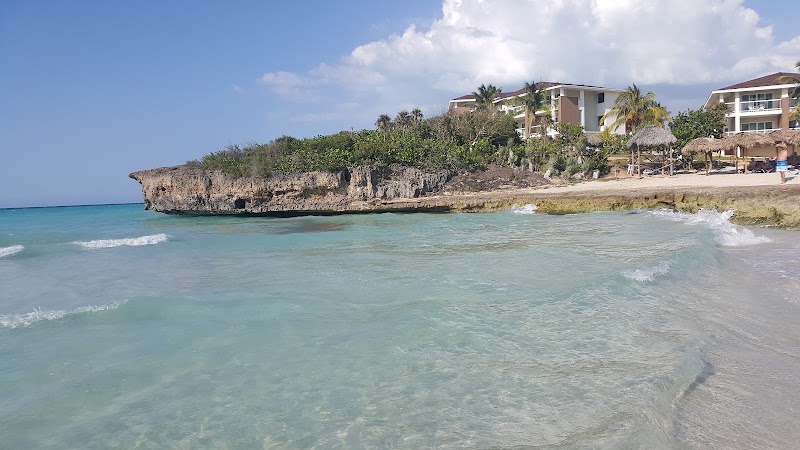 Sol Palmeras thumbnail 4