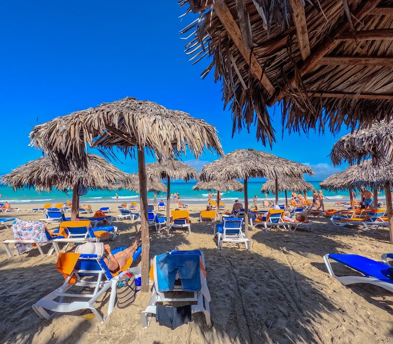 Sol Palmeras thumbnail 5