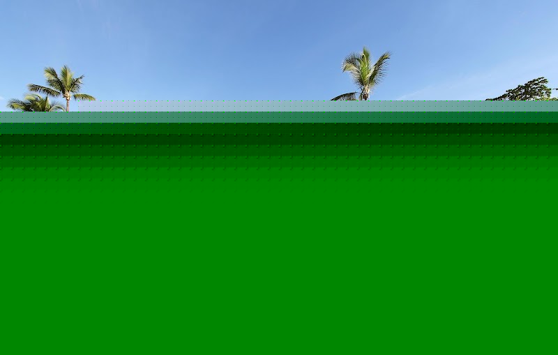 Grand Palladium Palace Resort Spa & Casino thumbnail 3