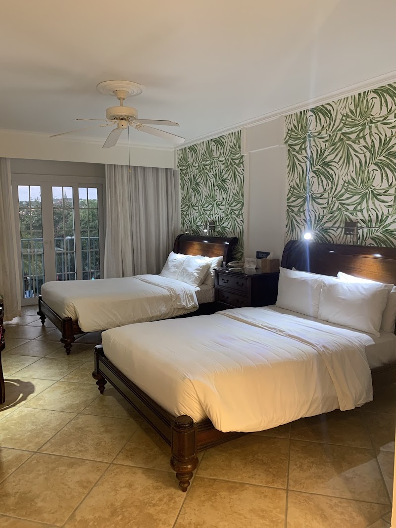 Coco Palm thumbnail 2