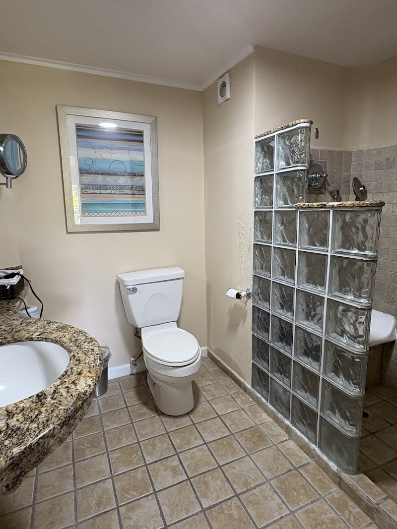 Coco Palm thumbnail 4