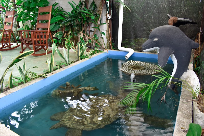 Hotel Serendipity Tortuguero thumbnail 3