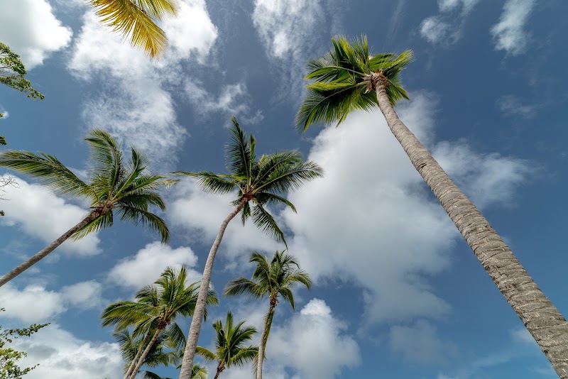 Emotions All Inclusive Puerto Plata, Ascend Hotel Collection thumbnail 5