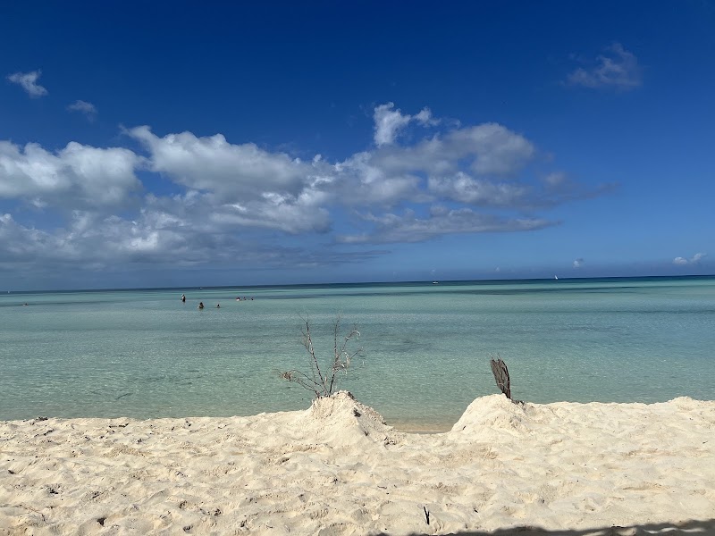 Melia Jardines del Rey thumbnail 5