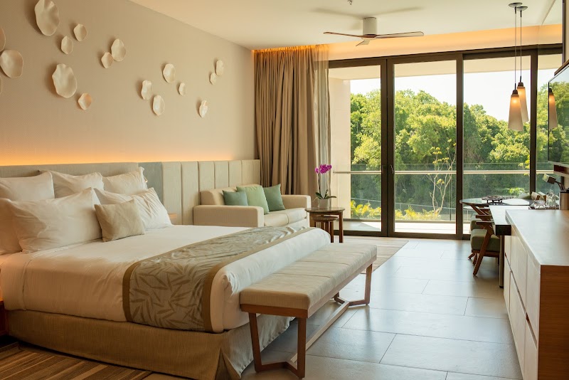 Dreams Bahia Mita Surf & Spa Resort thumbnail 2