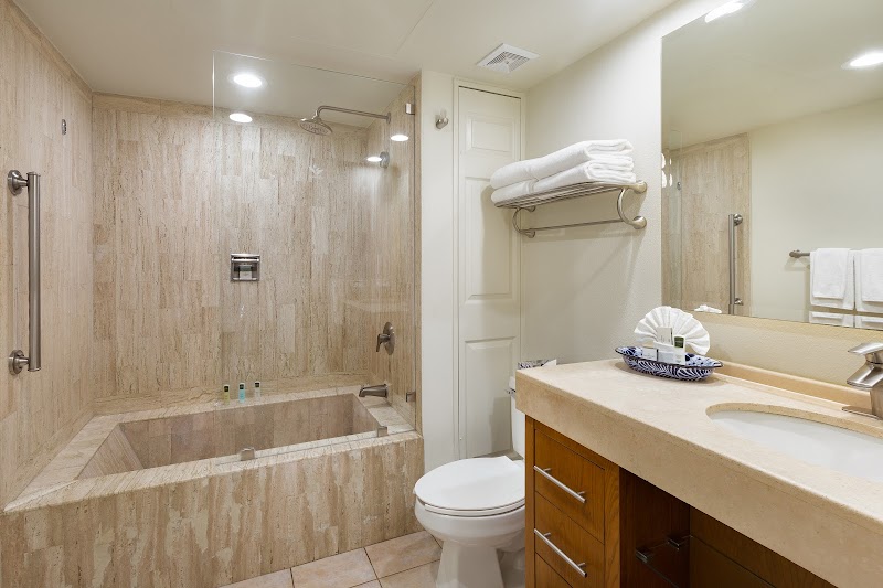 Villa del Palmar Beach Resort & Spa Cabo San Lucas thumbnail 4