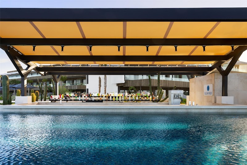 Secrets Baby Beach Aruba thumbnail 3