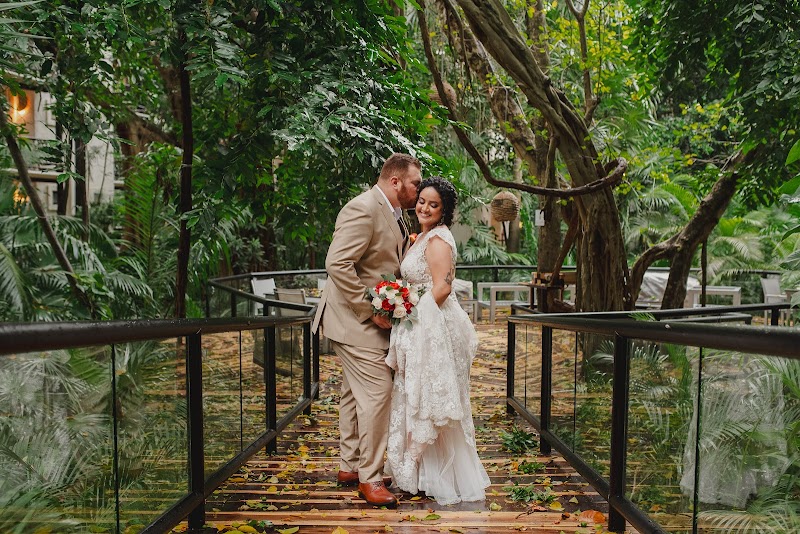 The Reef Playacar thumbnail 5