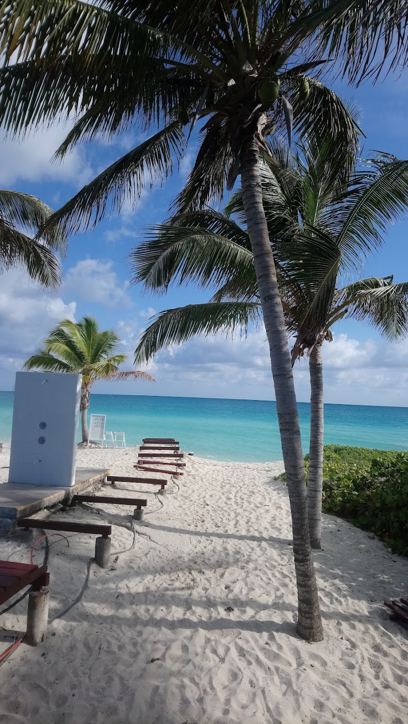 Melia Las Dunas thumbnail 4