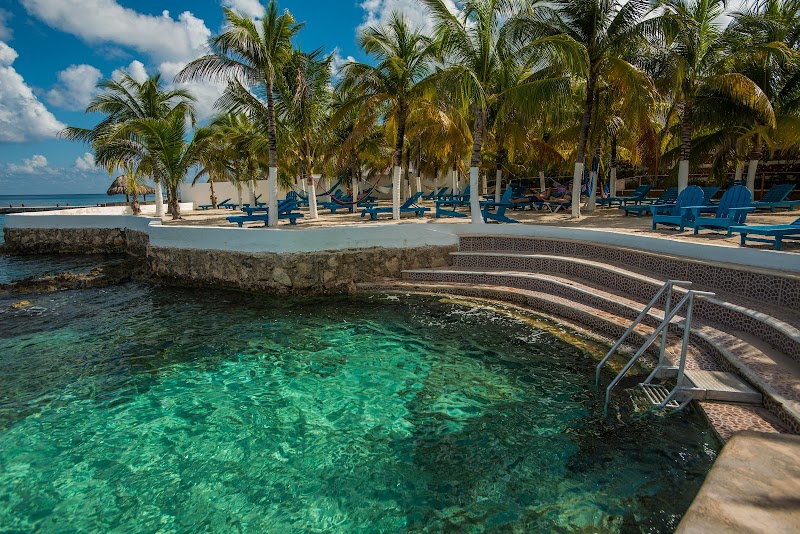 Cozumel Hotel & Resort, Trademark Collection by Wyndham thumbnail 5