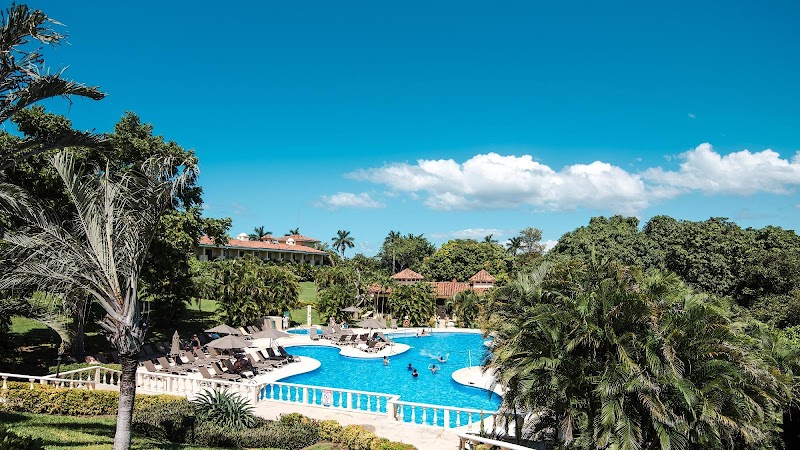 Occidental Papagayo thumbnail 3