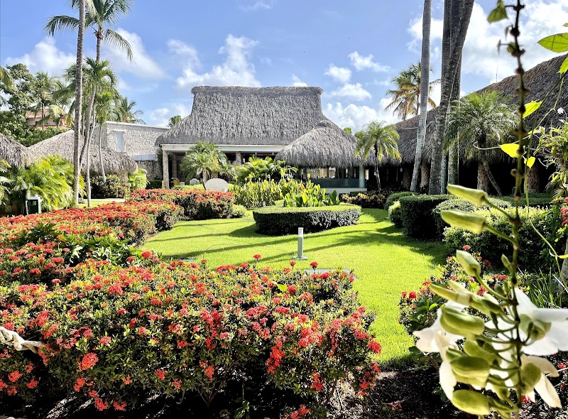 Viva Dominicus Beach By Wyndham, A Trademark All Inclusive Resort 1