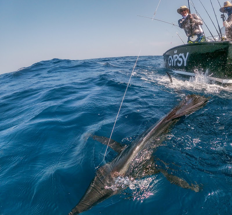 Pacific Fins Resort & Marina thumbnail 3