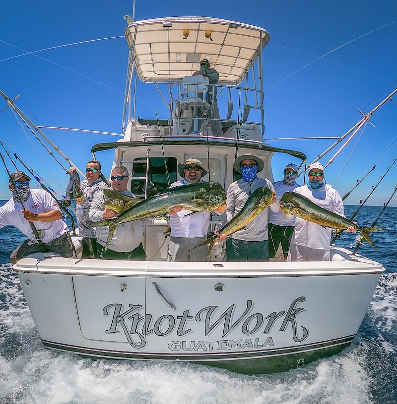 Pacific Fins Resort & Marina thumbnail 4