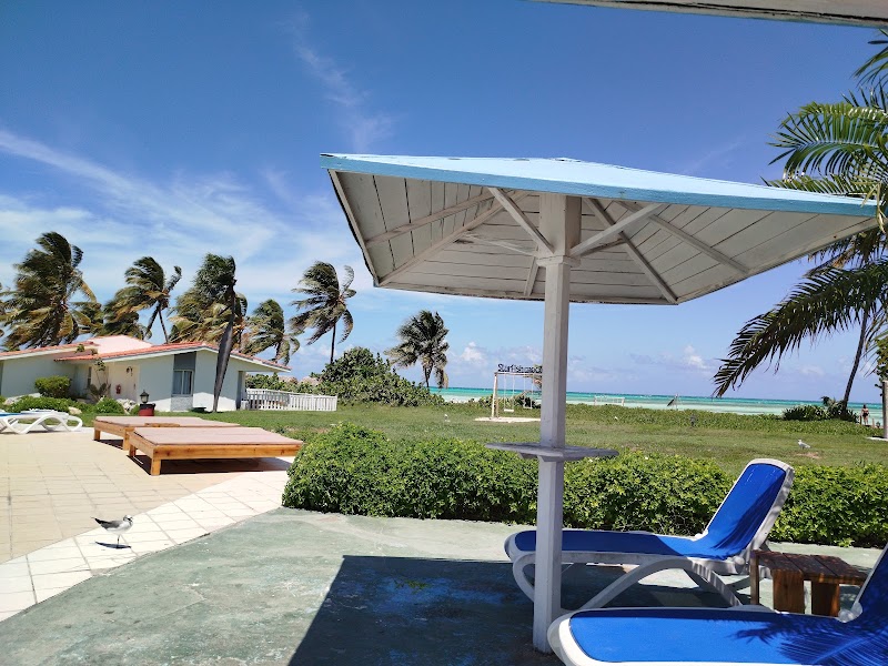 Starfish Cayo Guillermo thumbnail 3