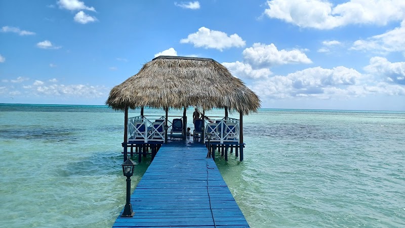 Starfish Cayo Guillermo thumbnail 4