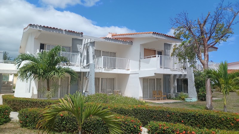 Starfish Cayo Guillermo thumbnail 5