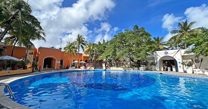 Grand Oasis Palm thumbnail 3