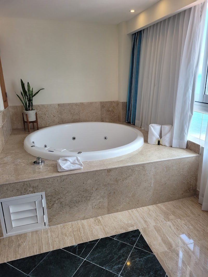 Grand Oasis Palm thumbnail 4