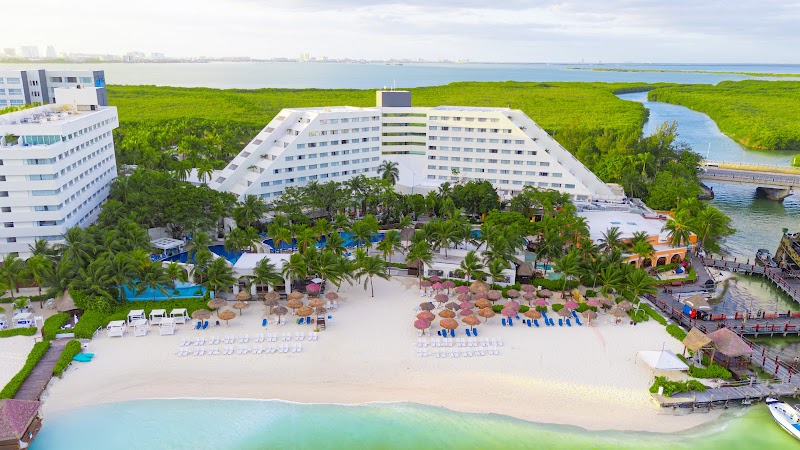 Grand Oasis Palm thumbnail 5