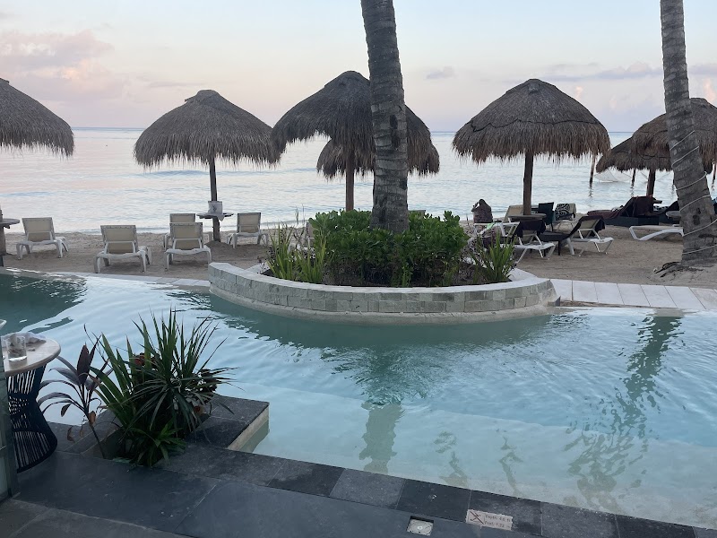 Dreams Cozumel Cape Resort & Spa thumbnail 3