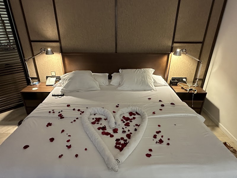 Excellence El Carmen thumbnail 2