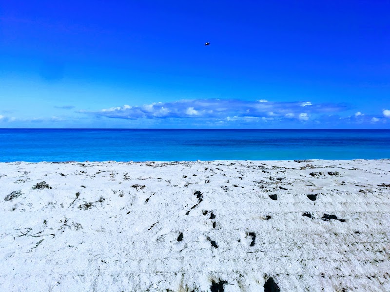 Hotel Puntarena Playa Caleta thumbnail 4